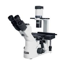 tissue culture microscope